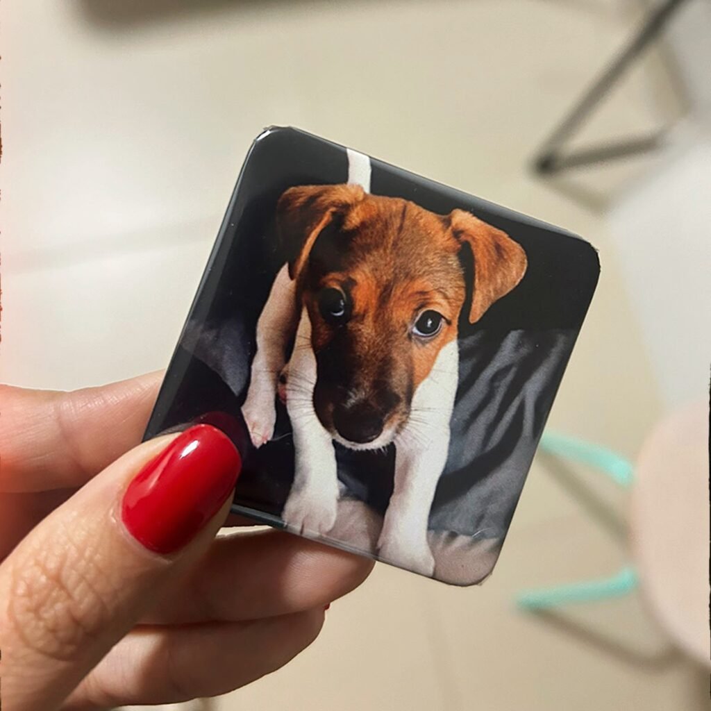 Capa do Gifts da Isa — Ímãs Personalizados